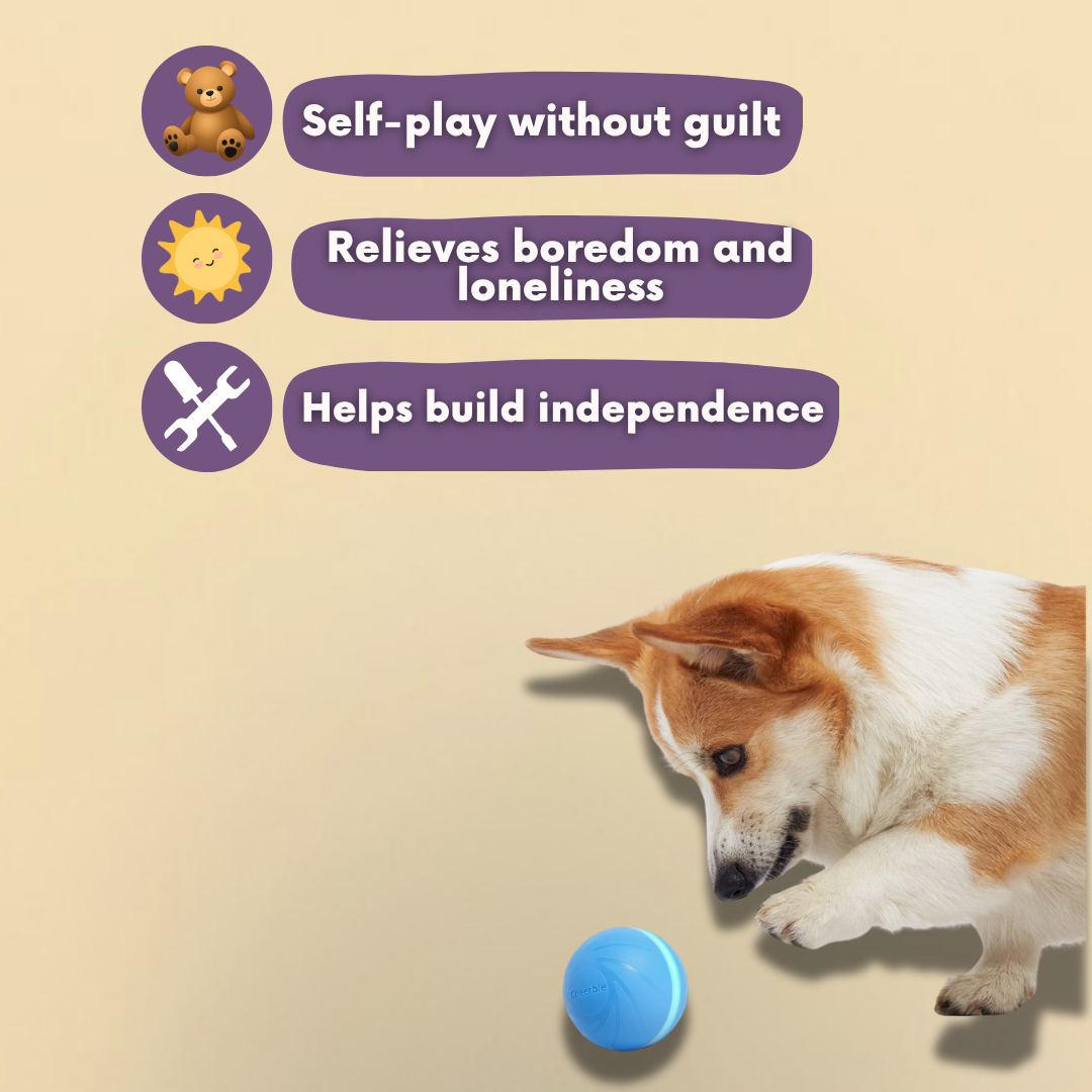 Interactive play ball - MellowBall™