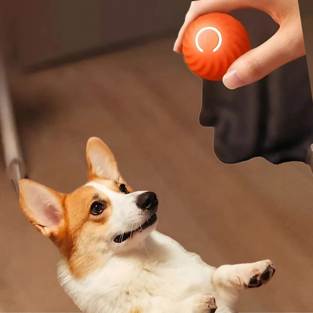 Interactive play ball - MellowBall™